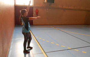 HAND BALL  mercredi 11 janvier