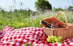 Pique nique le 21 juin 2017