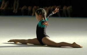 Championnat académique de gymnastique UNSS