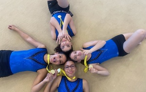 CHAMPIONNAT DE FRANCE GYM 2026