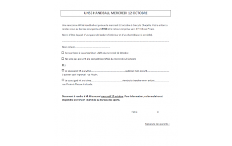 Handball Rencontre UNSS Minimes