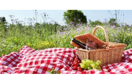 Pique nique le 21 juin 2017